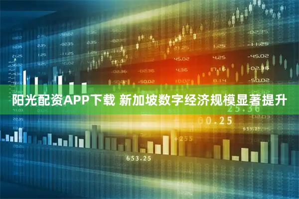 阳光配资APP下载 新加坡数字经济规模显著提升