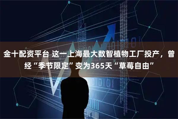 金十配资平台 这一上海最大数智植物工厂投产，曾经“季节限定”变为365天“草莓自由”