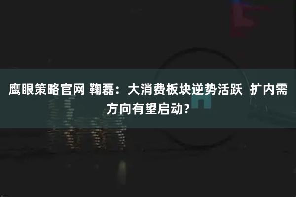 鹰眼策略官网 鞠磊：大消费板块逆势活跃  扩内需方向有望启动？